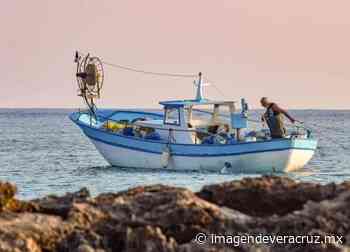 Pescadores de Ensenada tendrán permiso para pescar atún aleta azul: AMLO - Imagen de Veracruz