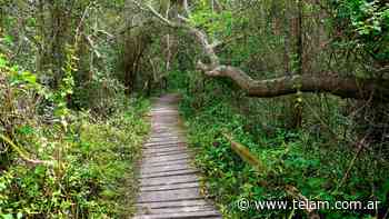 Ensenada y Berazategui, destinos de cercanía que se destacan por la cultura y paisajes - Télam