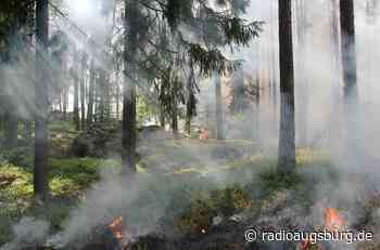 Waldbrandgefahr in der Region weiterhin hoch - Radio Augsburg