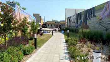 City of Selkirk installs EV charging station - Global News