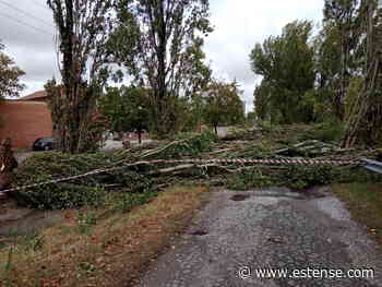 Nubifragio, la Regione fa la conta dei danni | estense.com Ferrara - Estense.com
