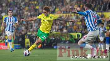Norwich City: Chris Sutton exclusive column on Josh Sargent - PinkUn