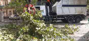 Pescara, vento e danni: interventi già dall'alba-FOTO - Abruzzo Cityrumors