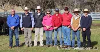 New APR record set at Coffin Creek Angus bull sale - The Land Newspaper