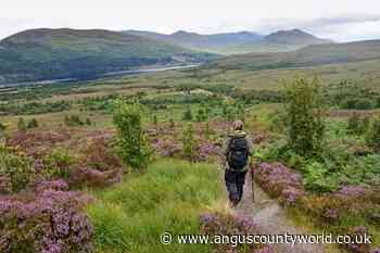 Human Interest, News | Walkers urged to check for deer stalking before Heading for the Scottish Hills - AngusWorld