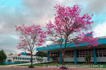 Prefeitura de Campo Bom abre processo seletivo para médicos, terapeutas ocupacionais e fonoaudiólogos - Jornal Repercussão