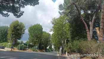 Terni, viabilità: riaperta al traffico via Tito Oro Nobili - Umbria 24 News