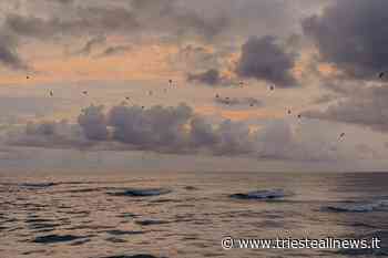 Temporali sparsi e miglioramenti in serata, il meteo di oggi - Trieste News