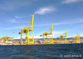 Porti: Trieste; Console Usa, controllare asset fondamentali - Agenzia ANSA