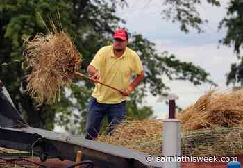 Steam Threshers turn back the clock at Forest show - Sarnia and Lambton County This Week
