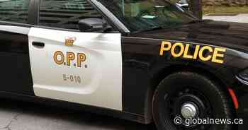 London, Ont. resident faces sexual assault charges: Lambton County OPP - Global News