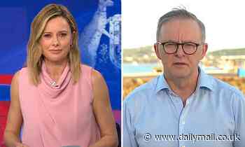 Anthony Albanese snaps at Allison Langdon over Scott Morrison ministry scandal - Daily Mail