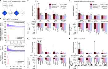 Rare coding variation provides insight into the genetic architecture and phenotypic context of autism - Nature.com