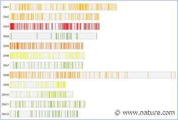 Understanding complex genetic architecture of rice grain weight through QTL-meta analysis and candidate gene identification | Scientific Reports - Nature.com