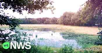 Provincie start met aanleg van nieuw overstromingsgebied om Zoersel en Schilde van wateroverlast te verlossen - VRT NWS