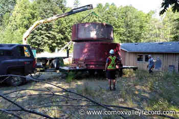 Comox Valley salmon conservation community receives $139000 in grants - Comox Valley Record
