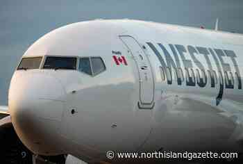 Comox-Puerto Vallarta direct flight return to Vancouver Island later this year - North Island Gazette