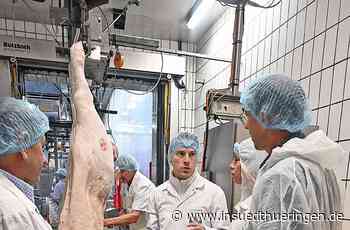 Schmalkalden: Keine Angst vor toten Tieren - Schmalkalden - inSüdthüringen