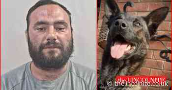 Grimsby man jailed for biting police dog on head - The Lincolnite