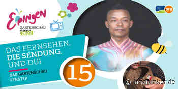 EPPINGEN | Das Gartenschau-Fenster - Landfunker