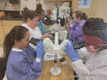 College of The Albemarle’s Medical Laboratory Technology Program receives accreditation - OBXToday.com