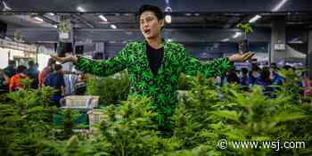 Recreational Users Test Limits of Thailand’s Hazy Medical-Marijuana Rollout - The Wall Street Journal