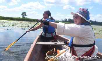 WITH VIDEO: Beyond The Swale: Exploring Smiths Falls' wetland wonderland - Ottawa Valley News