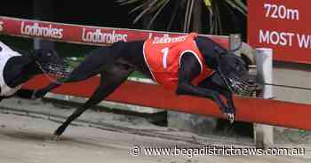 The national spotlight will shine on Sydney on August 27 - Bega District News