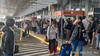 The Loop: Sydney Airport hit with delays, fears of threat to FBI after Trump raid, and a Cameron Smith penalty — as it happened - ABC News