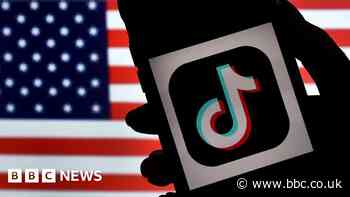 TikTok to teach influencers about US mid-term election rules