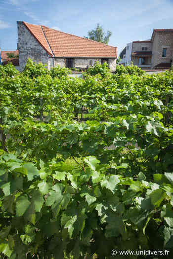 Visite des vignes et de la Grange de Clamart La grange-musée Franquet, vigne municipale et cave samedi 17 septembre 2022 - Unidivers