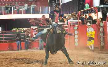 Peões x Touros: veja disputa na Festa do Peão de Barretos 2022; FOTOS - Globo