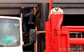 Festa do Peão de Barretos é multada em R$ 228 mil por irregularidades na montagem da estrutura - Globo