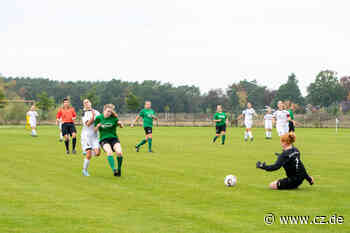 ESV Fortuna Celle und TuS Bröckel bestreiten erstes Landesligaspiel - Cellesche Zeitung