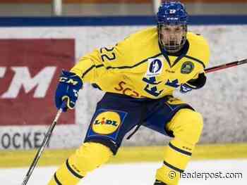 Washington Capitals prospect Alexander Suzdalev signs with Regina Pats - Regina Leader Post