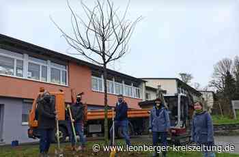 Klimaschutz in Renningen - Ihr Einsatz fürs Klima hat erst begonnen - Leonberger Kreiszeitung