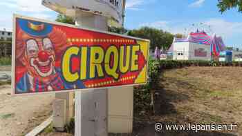 La Courneuve : le cirque Europa s’installe sans autorisation, le maire va porter plainte - Le Parisien