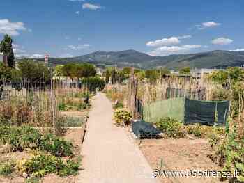 Sesto Fiorentino, in arrivo dieci nuovi orti sociali - 055firenze