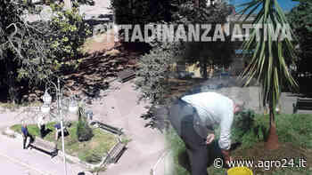 Angri. Tre cittadini giardinieri curano il verde di Piazza Annunziata - Agro24