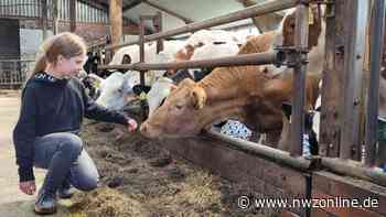 Zukunftstag in Varel: 23 Kinder besuchen Bauernhöfe - NWZonline