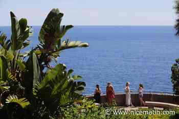 Sécheresse: comment Monaco adapte son fleurissement tout en économisant l'eau