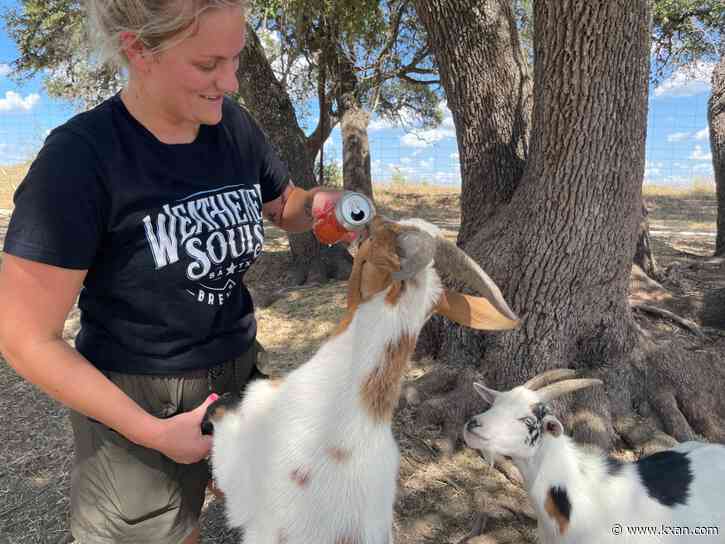 Jester King promotes Texas farm-to-table model at Hill Country brewery