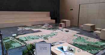 Masterstudenten architectuur maken maquette van gans Vosselaar - Het Laatste Nieuws