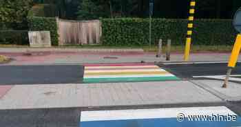 Eerste regenboogzebrapad van Vosselaar verfraait Dennendreef | Vosselaar - Het Laatste Nieuws