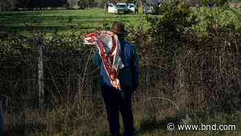 On Chile rivers, Native spirituality and development clash - Belleville News-Democrat