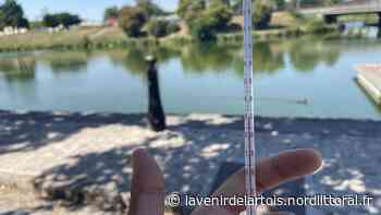 Arras: Les îlots de fraîcheur sont-ils suffisants ? - Nord Littoral