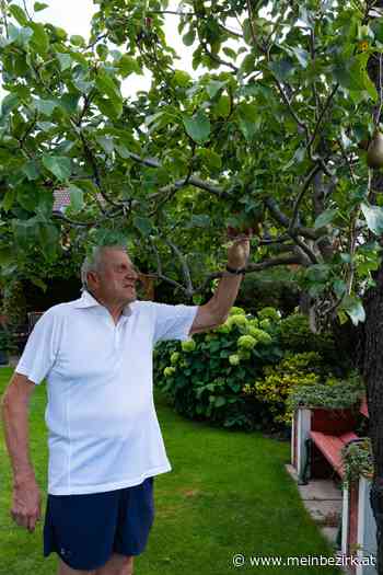 Mein Garten NÖ: Exklusive Pflanzen und viel Liebe zum Detail - meinbezirk.at