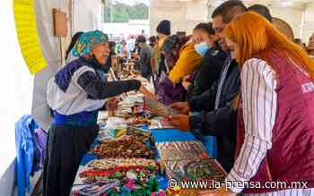 Feria del Hongo, Ixtapaluca; un impulso a la economía con apoyo de Chapingo - La Prensa