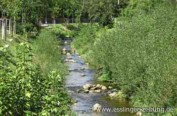 Denkendorfs Bürgermeister zur Energiekrise - „Es gibt nicht das eine Klimaprojekt“ - esslinger-zeitung.de