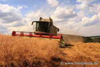 Landwirte haken Jahr ab: Sorge um Futter wächst - freiepresse.de